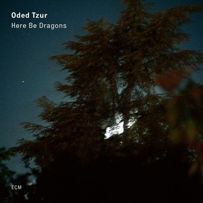 오데드 추르 Oded Tzur - Here be Dragons (LP)