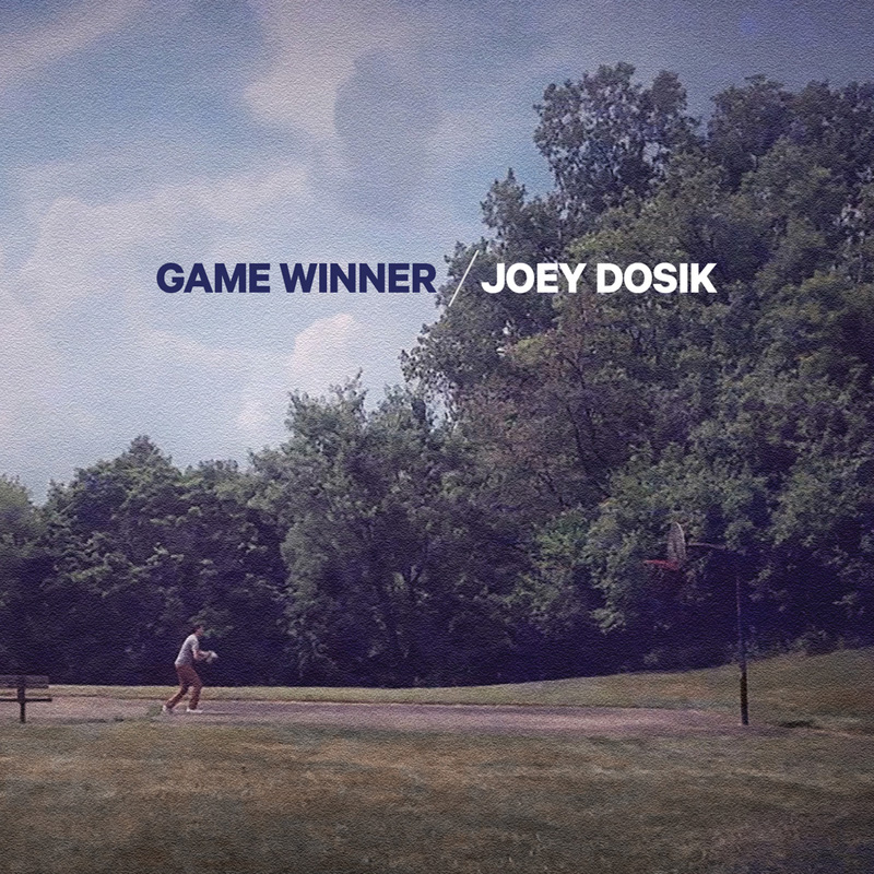 조이 도식 Joey Dosik - Game Winner (LP)