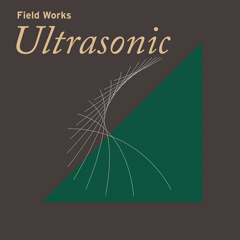 Various Artists - Field Works : Ultrasonic LP