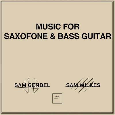 샘 젠델, 샘 윌크스 Sam Gendel &amp; Sam Wilkes – Music For Saxofone &amp; Bass Guitar (LP)