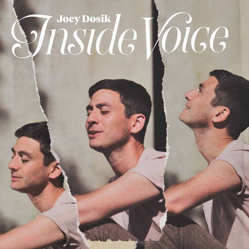 조이 도식 Joey Dosik - Inside Voice (Stone White LP)